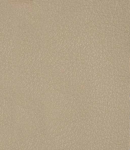 Pelle Premium - Beige avec passepoil beige