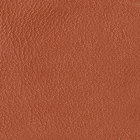 Pelle Premium - Red brick